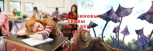 метадон Алексин