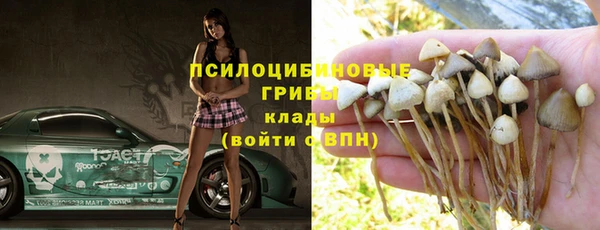 метадон Алексин
