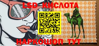 ECSTASY Ливны