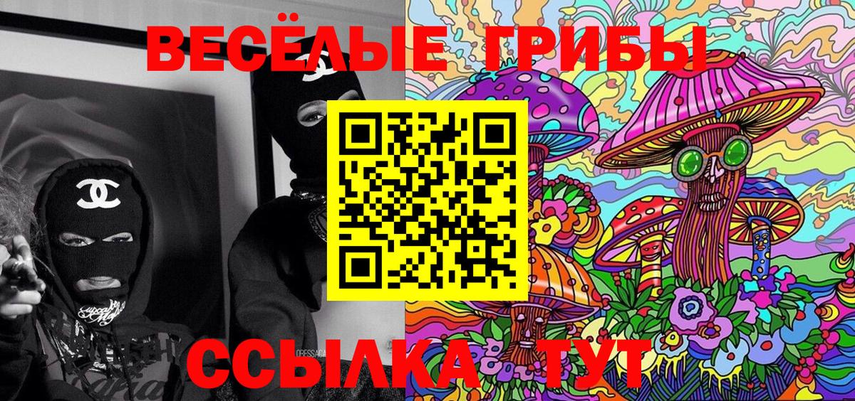 Псилоцибиновые грибы ЛСД  Псилоцибиновые грибы прущие грибы  Находка  Вход с VPN 